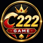 c 222 Game logo image